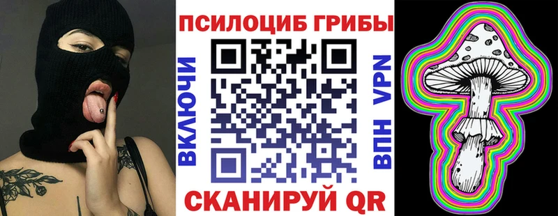 Псилоцибиновые грибы Psilocybe  закладки  Советский 